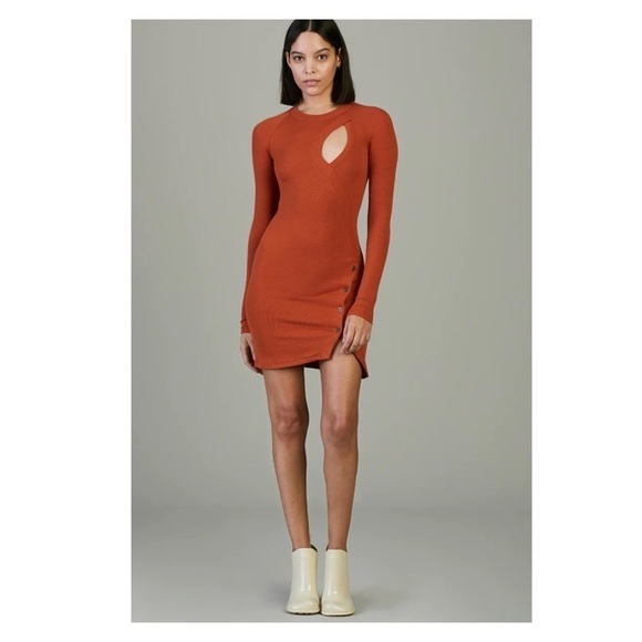 ALIX NYC Pratt Burnt Orange Cutout Long Sleeve Bodycon Mini Dress Size S NWT - Picture 5 of 16